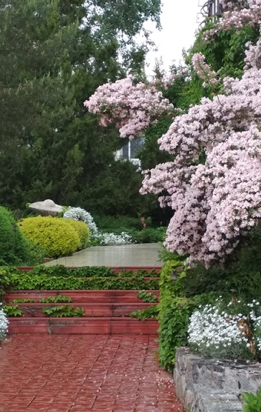 Щедрі дари природи - парк Кульбашної та дегустація сирів