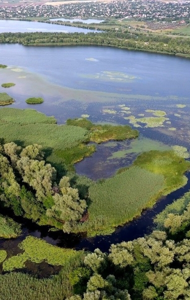 Неймовірна Хортиця - кораблі та коні