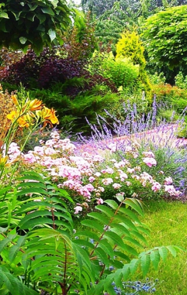 Два парки: Кульбашна та Сакура